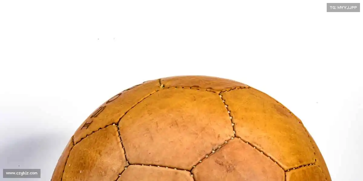 行业领先的理由